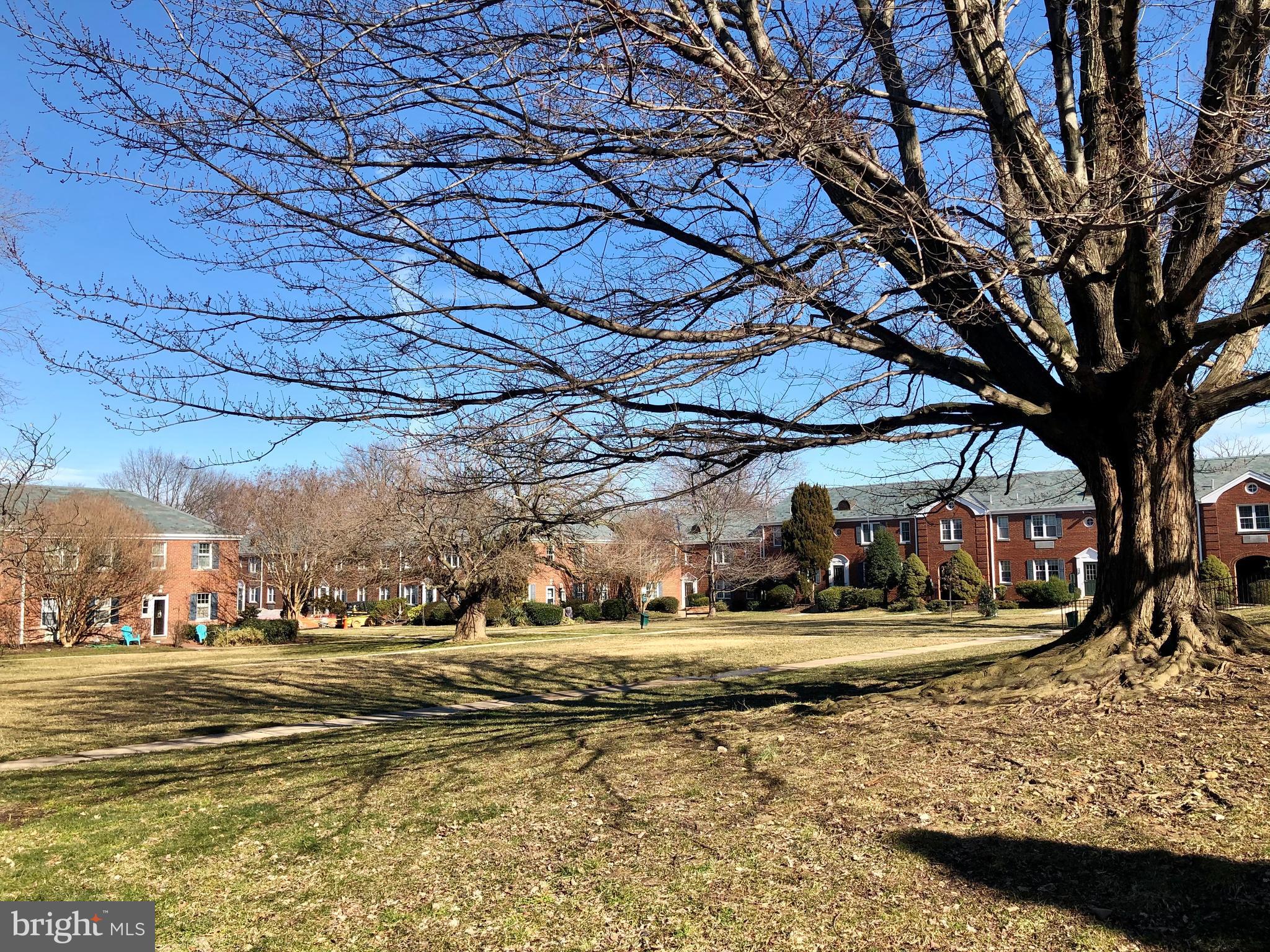 5 East Glebe Road, Unit B Alexandria, VA 22305 - Photo 23 of 32 Enjoy the serene oasis amid the hustle and bustle