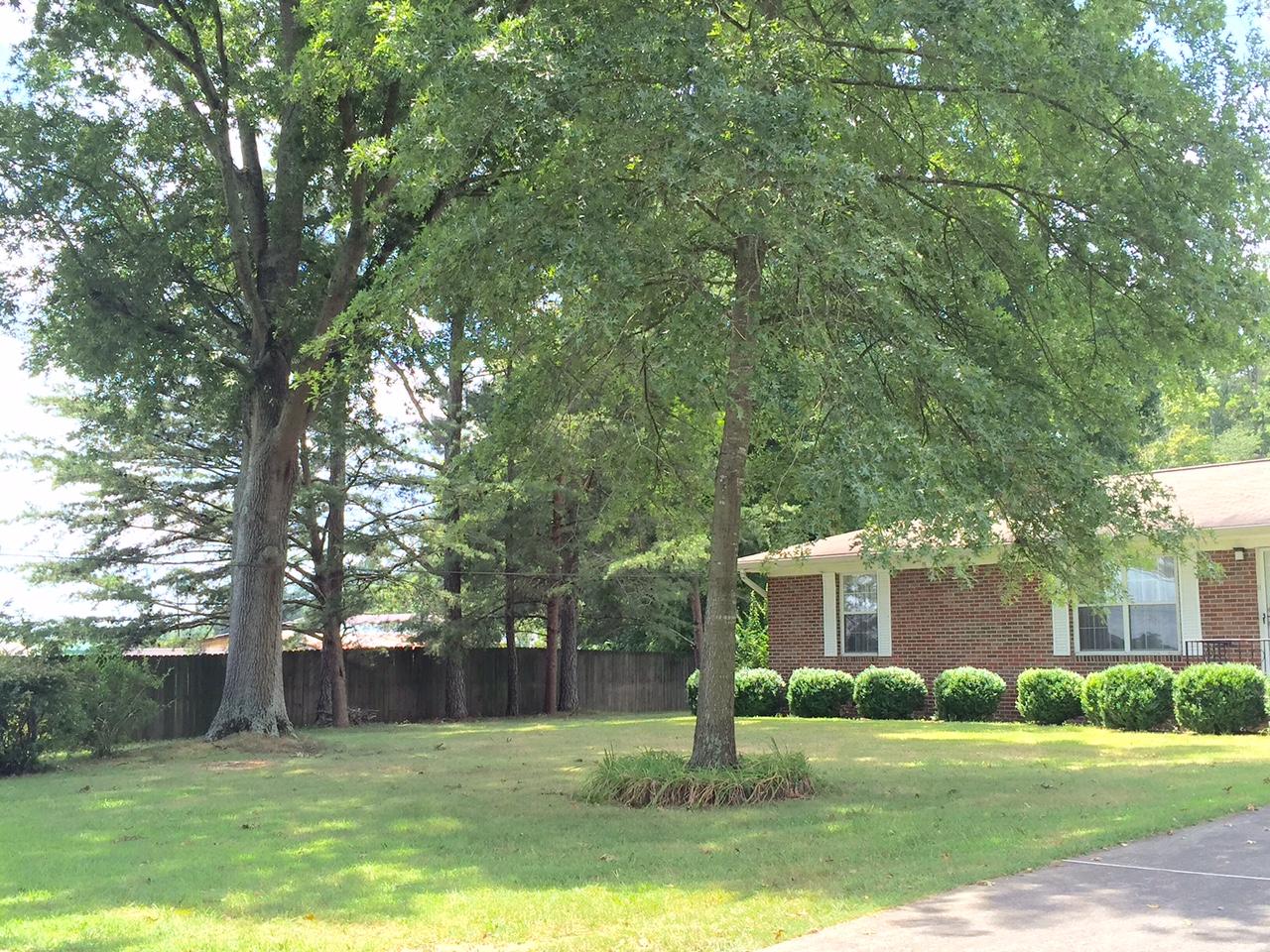 667 Back Penn Road Summerville, GA 30747 - Photo 14 of 15 yard 1