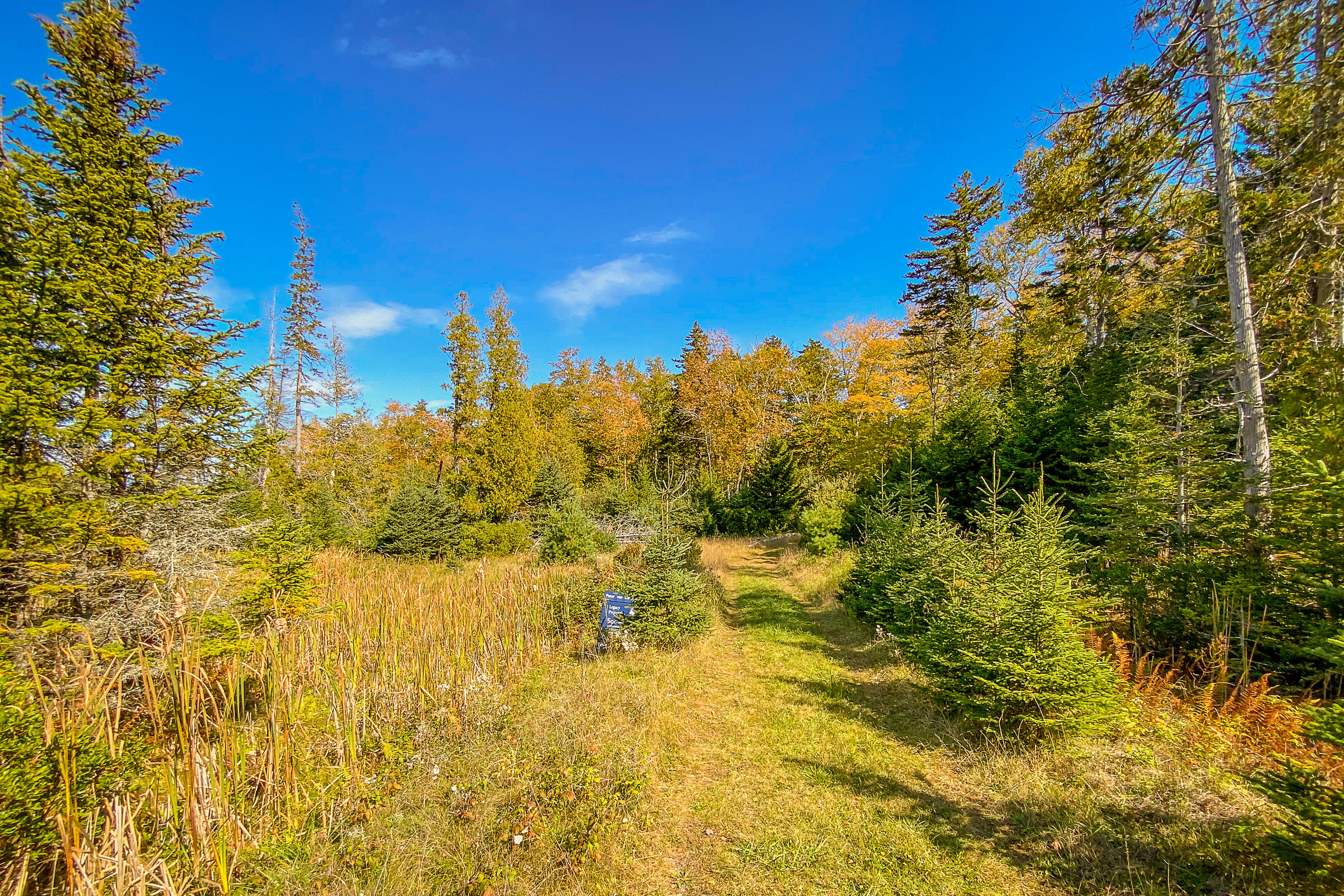13 Hermit's Point Road Islesboro, ME 04848 - Photo 30 of 32 13HermitsPoint_34_S_print