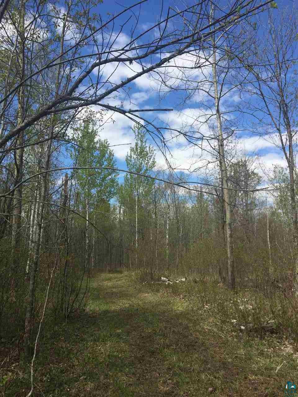 X Seville Road Hermantown, MN 55811 - Photo 2 of 5 Partial Driveway