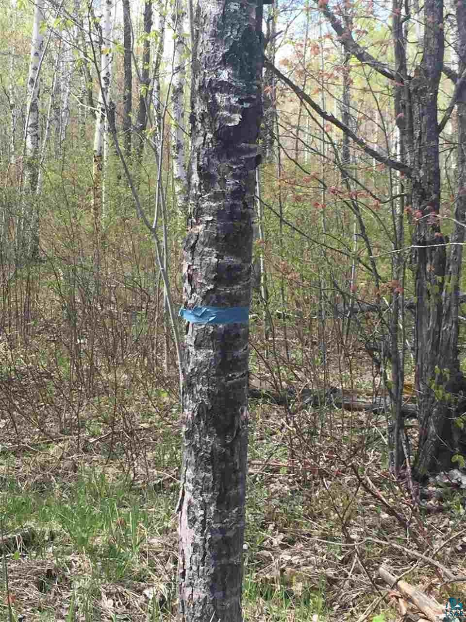 X Seville Road Hermantown, MN 55811 - Photo 4 of 5 Survey markers on property lines