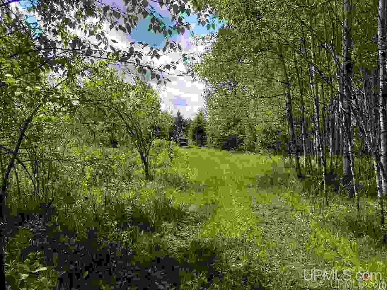 40-ac Parks Farm Road Iron River, MI 49935 - Photo 8 of 20