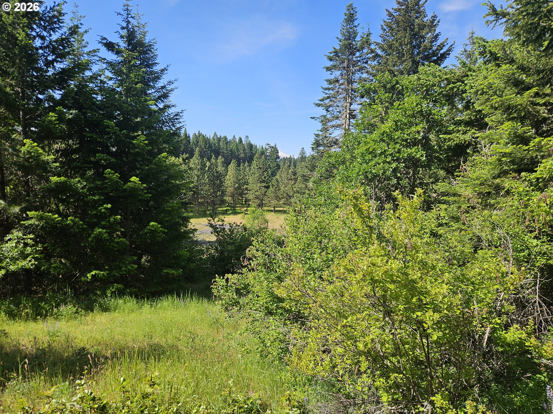 983 Snowden Road White Salmon, WA 98672 - Photo 13 of 22 a view of a garden