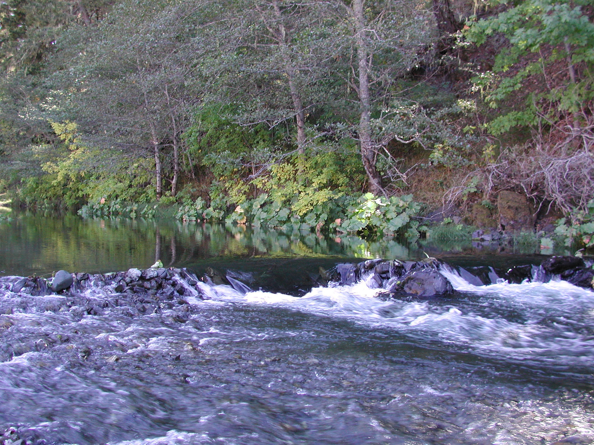 0 River Road Miranda, CA 95553 - Photo 7 of 31