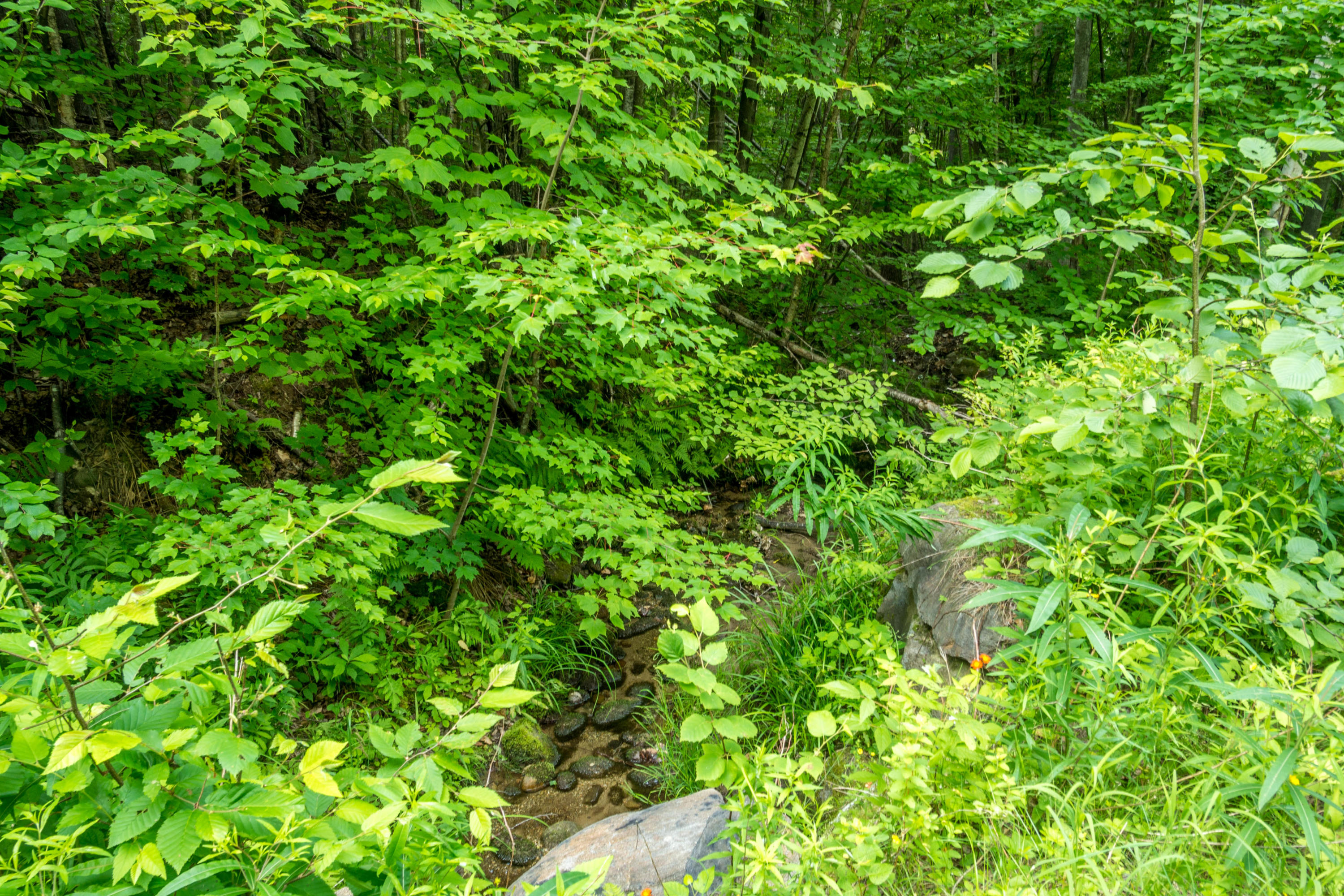 Lot 2 Puzzle Mountain Road Newry, ME 04261 - Photo 2 of 25 Bob Stewart Land-24