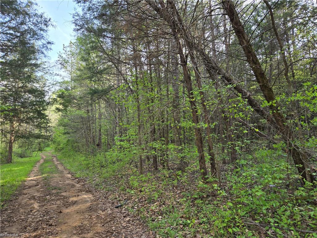 0 Hoover Hill Road Asheboro, NC 27205 - Photo 5 of 29