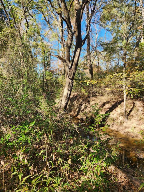 6419 East Locust Street Murchison, TX 75778 - Photo 12 of 14