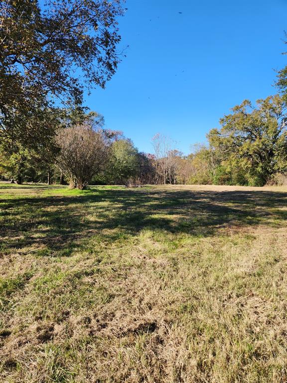 6419 East Locust Street Murchison, TX 75778 - Photo 13 of 14