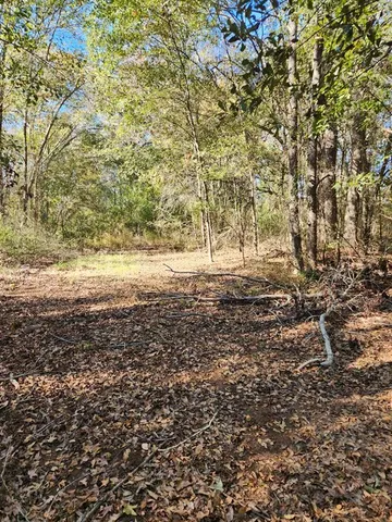 $55,000 | 6419 East Locust Street, Murchison, TX 75778