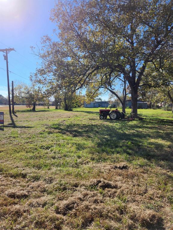 6419 East Locust Street Murchison, TX 75778 - Photo 2 of 14