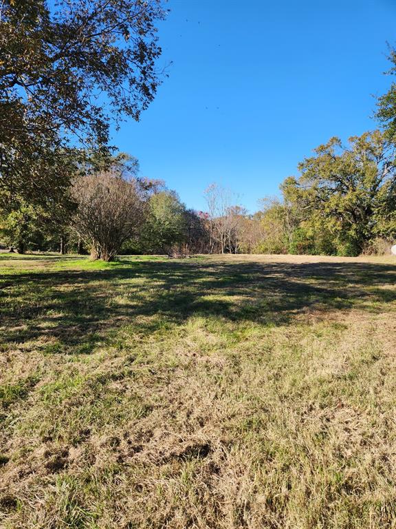 6419 East Locust Street Murchison, TX 75778 - Photo 3 of 14