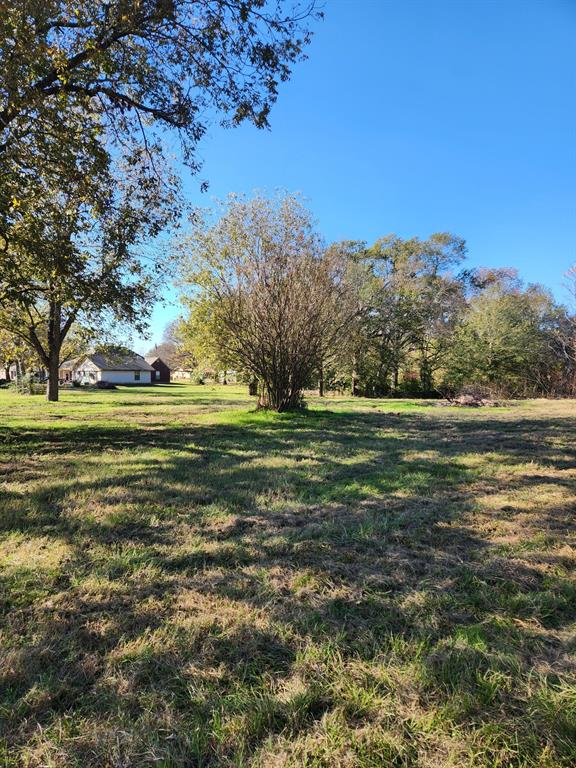 6419 East Locust Street Murchison, TX 75778 - Photo 5 of 14