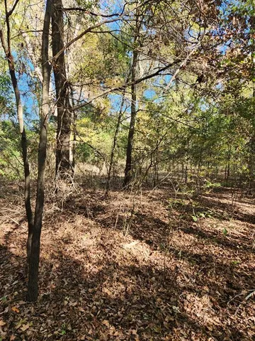 $55,000 | 6419 East Locust Street, Murchison, TX 75778