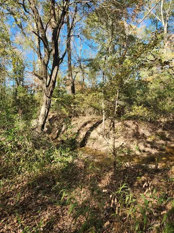 $55,000 | 6419 East Locust Street, Murchison, TX 75778