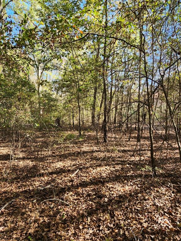 6419 East Locust Street Murchison, TX 75778 - Photo 8 of 14