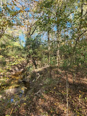 $55,000 | 6419 East Locust Street, Murchison, TX 75778