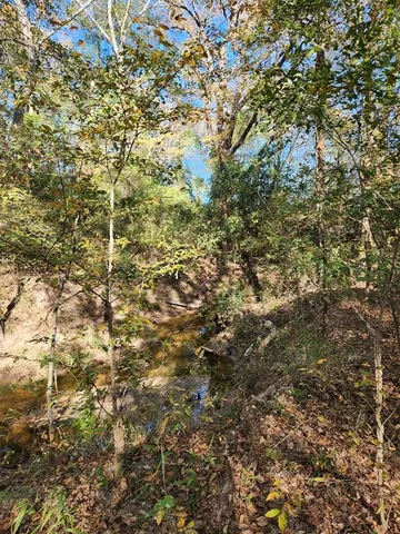 $55,000 | 6419 East Locust Street, Murchison, TX 75778