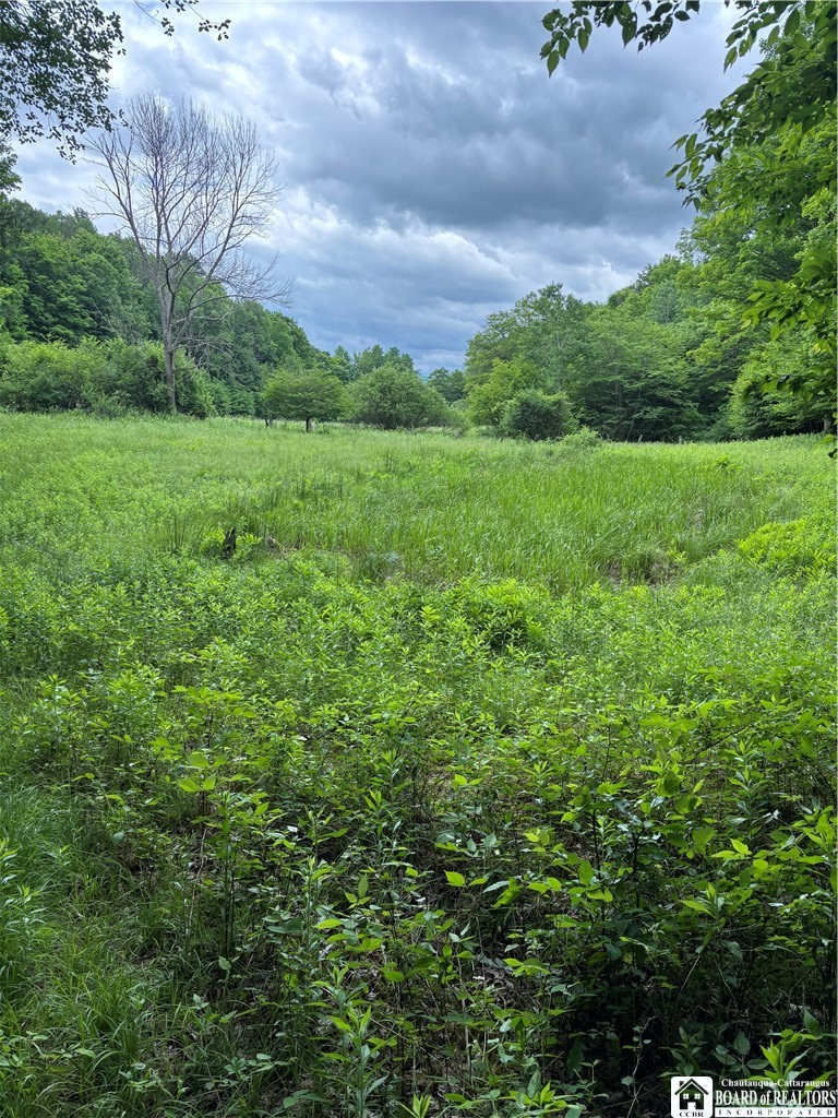 1471 Loomis Road Rexville, NY 14877 - Photo 19 of 50