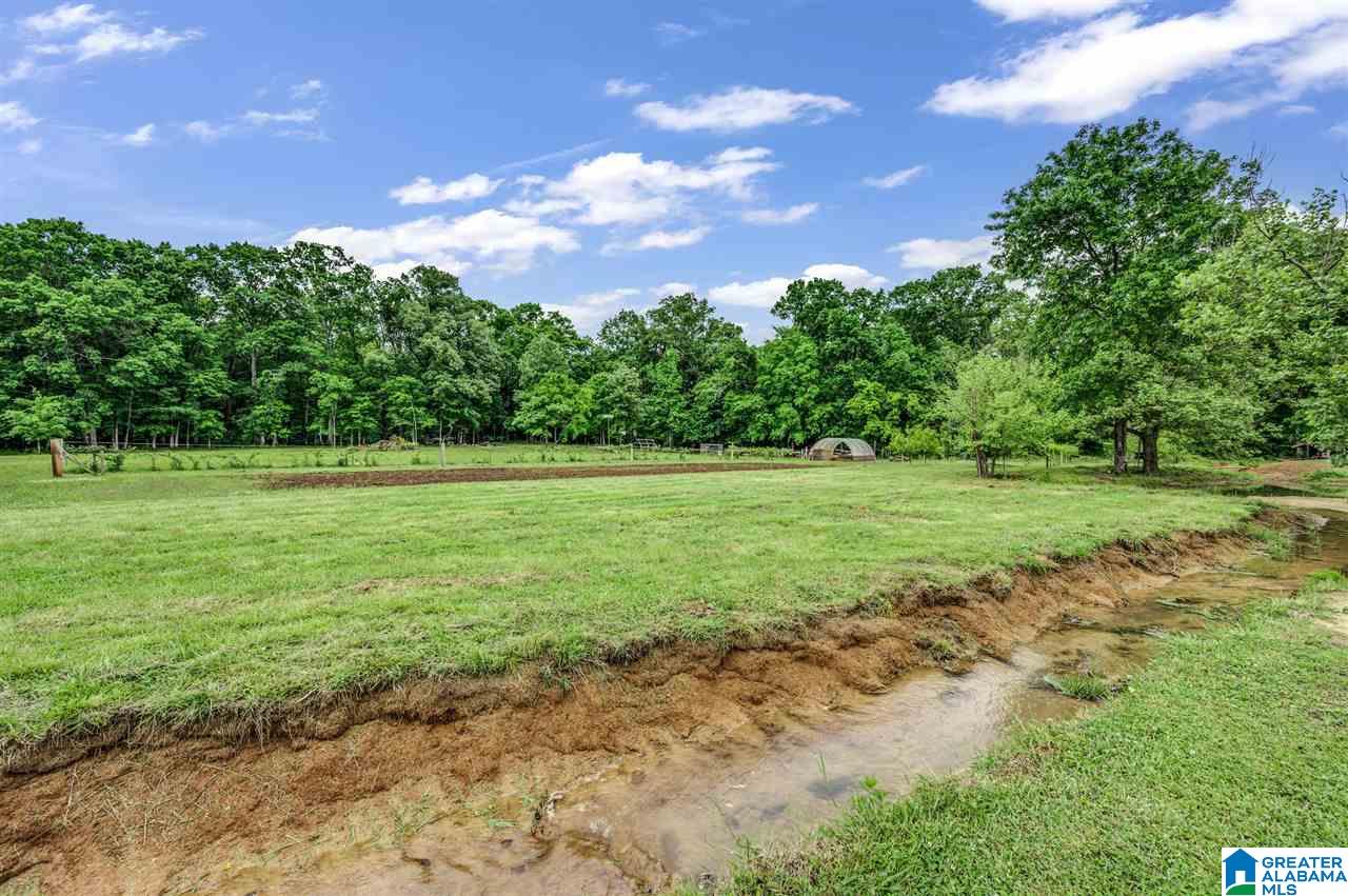 1760 Fowler Springs Road Blountsville, AL 35031 - Photo 16 of 31 Gallery Image 16