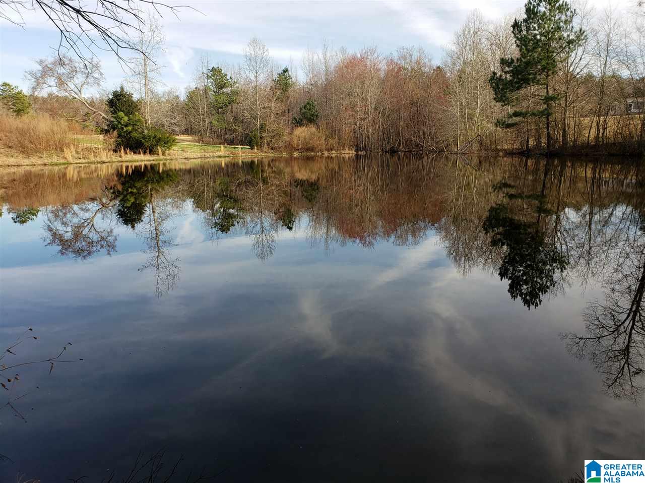1430 Dripping Rock Road Piedmont, AL 36272 - Photo 2 of 41