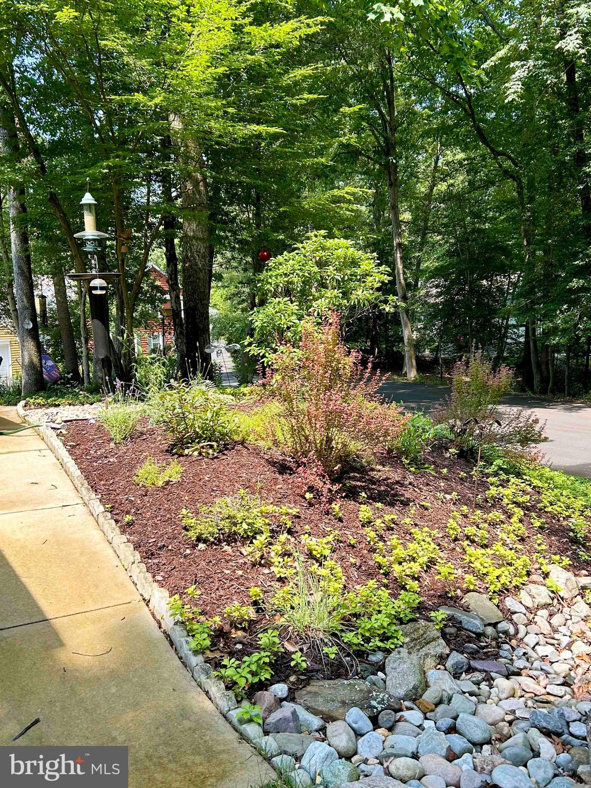 2571 Hidden Cove Road Annapolis, MD 21401 - Photo 54 of 74 Beautiful yard in bloom