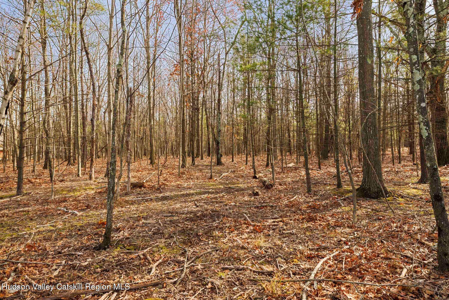 404 Winter Clove Road Round Top, NY 12473 - Photo 127 of 133 photo_offline_009