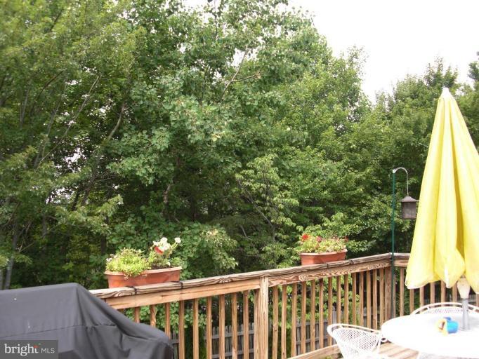 Deck - View from