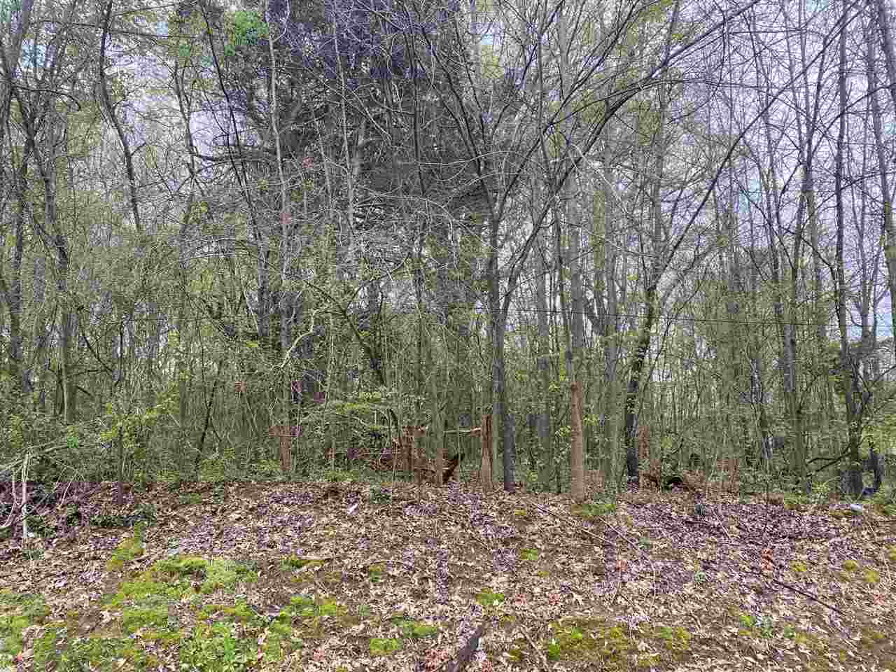3393 Felton Road Memphis, TN 38128 - Photo 1 of 4 Gallery Image 1
