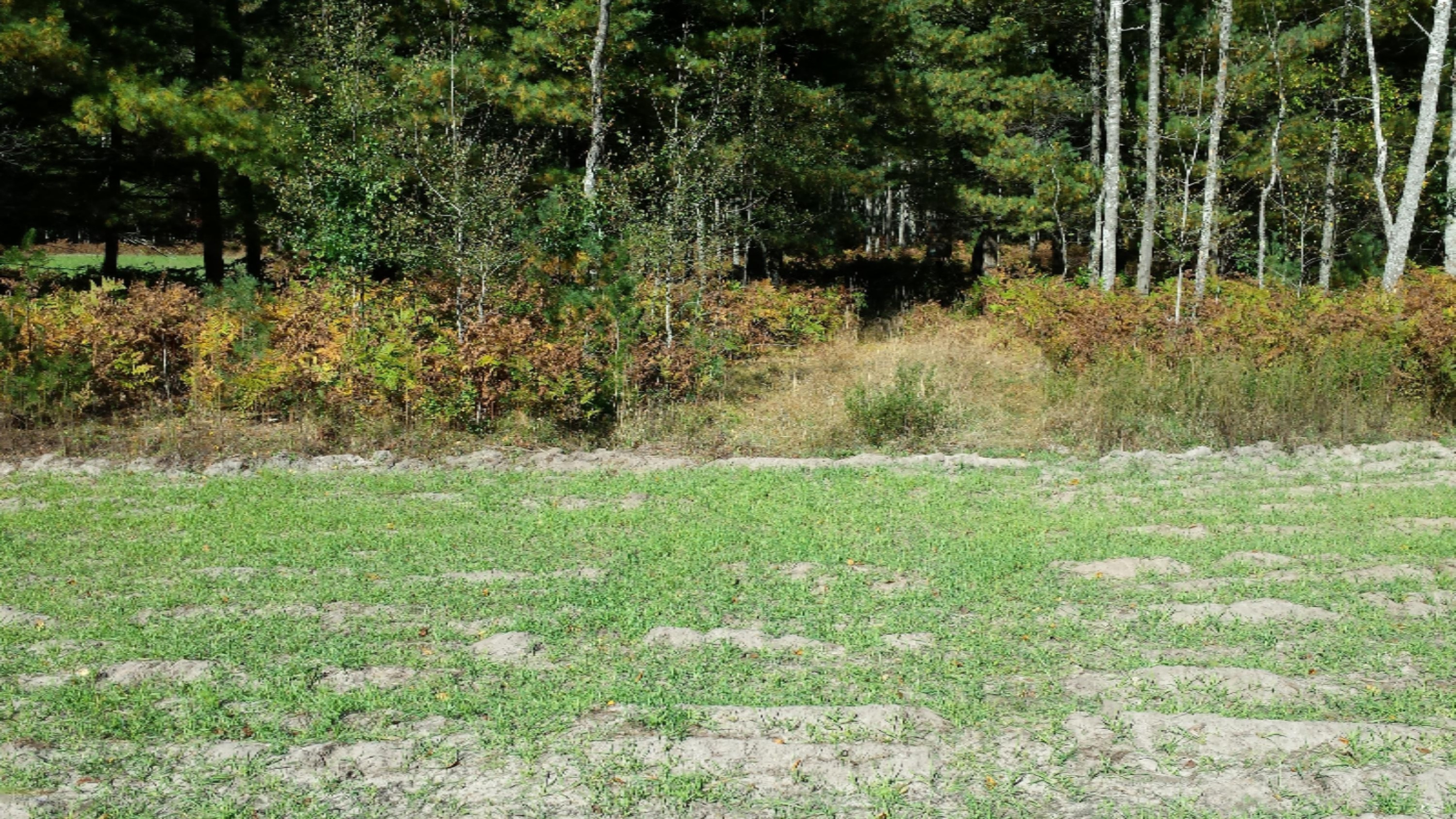 East Beyer Road Free Soil, MI 49411 - Photo 3 of 14 20150930_154420