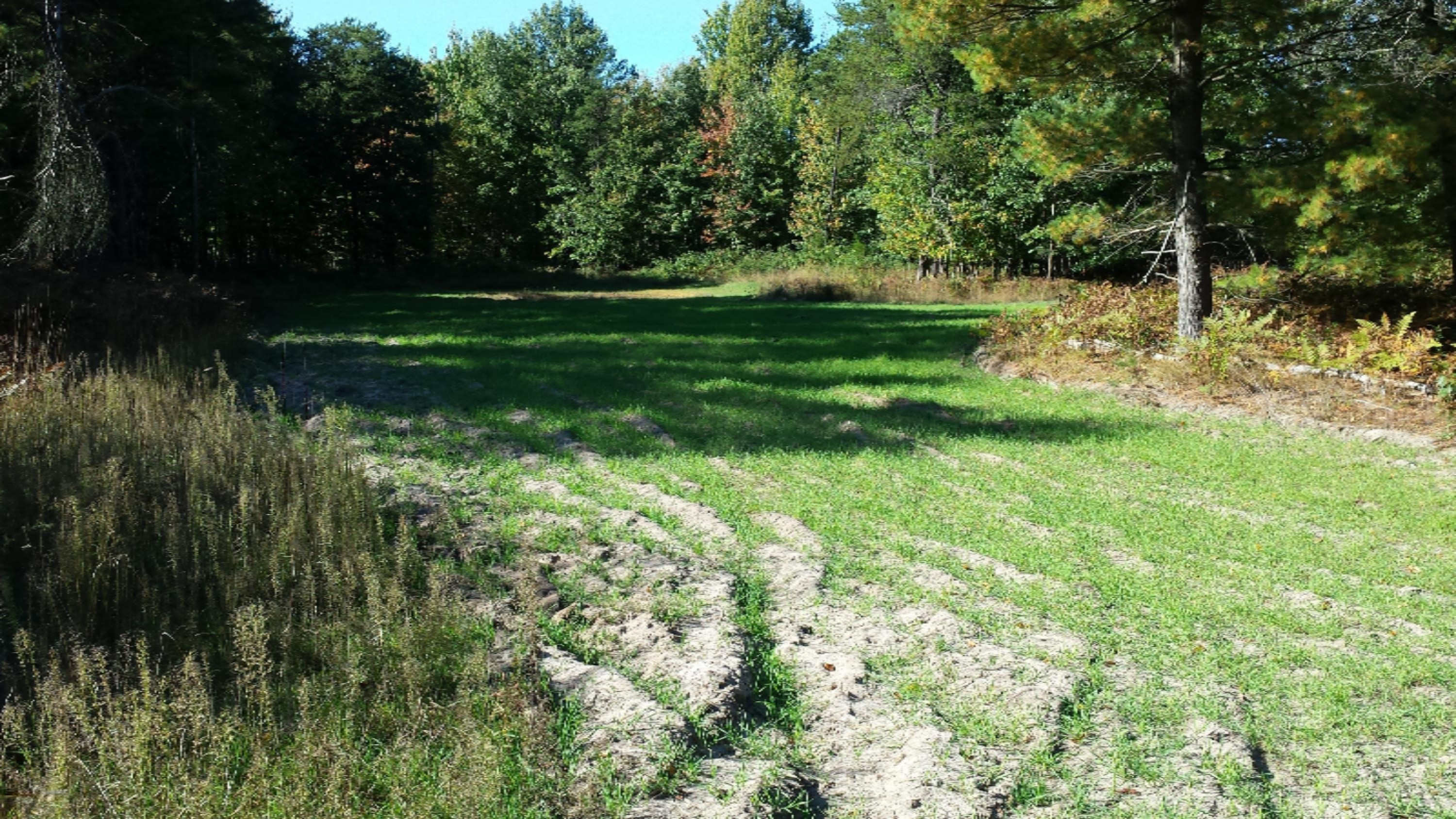 East Beyer Road Free Soil, MI 49411 - Photo 7 of 14 20150930_154430