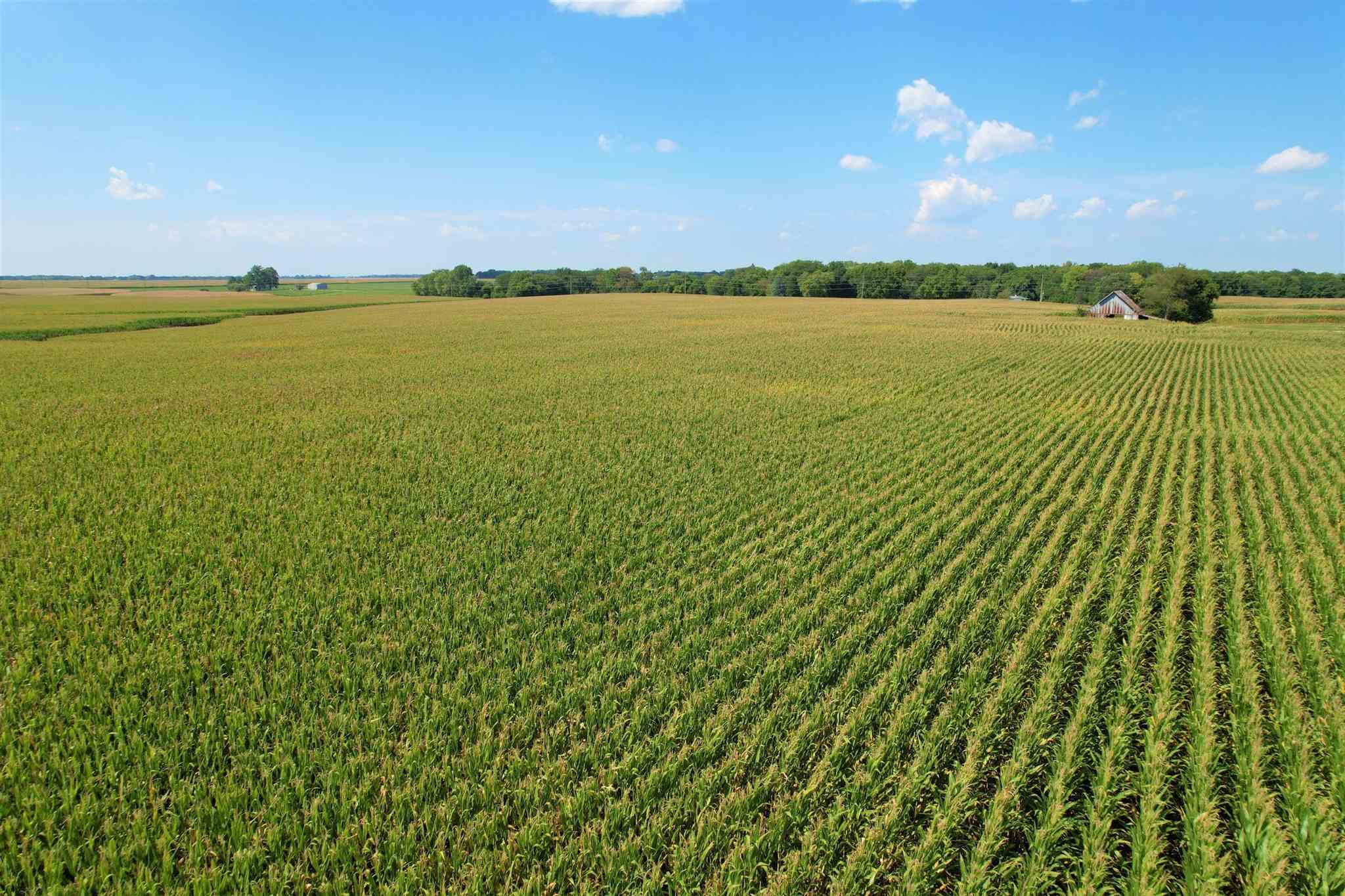 Sudduth Road Sherman, IL 62684 - Photo 2 of 9 Gallery Image 2