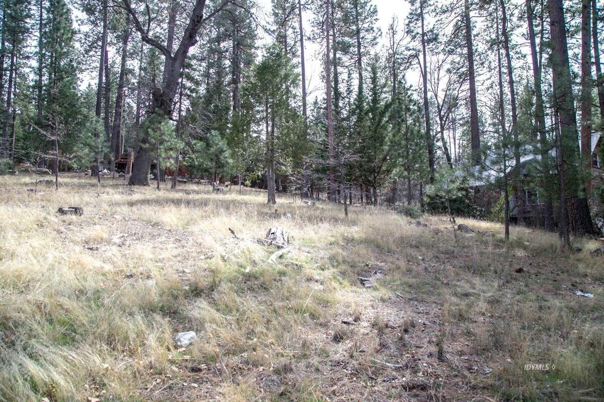0 Tollgate Road Idyllwild, CA 92549 - Photo 13 of 14 a view of a forest with trees in the background