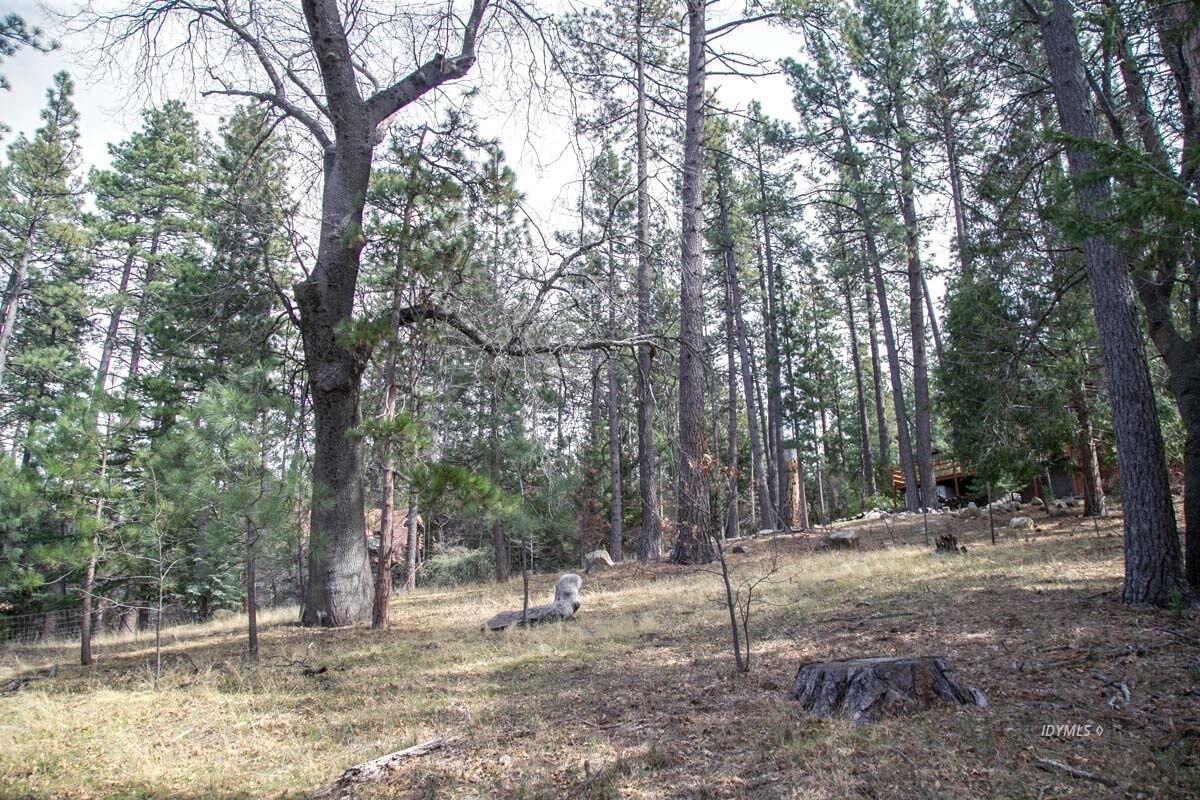 0 Tollgate Road Idyllwild, CA 92549 - Photo 14 of 14 a view of outdoor space with trees