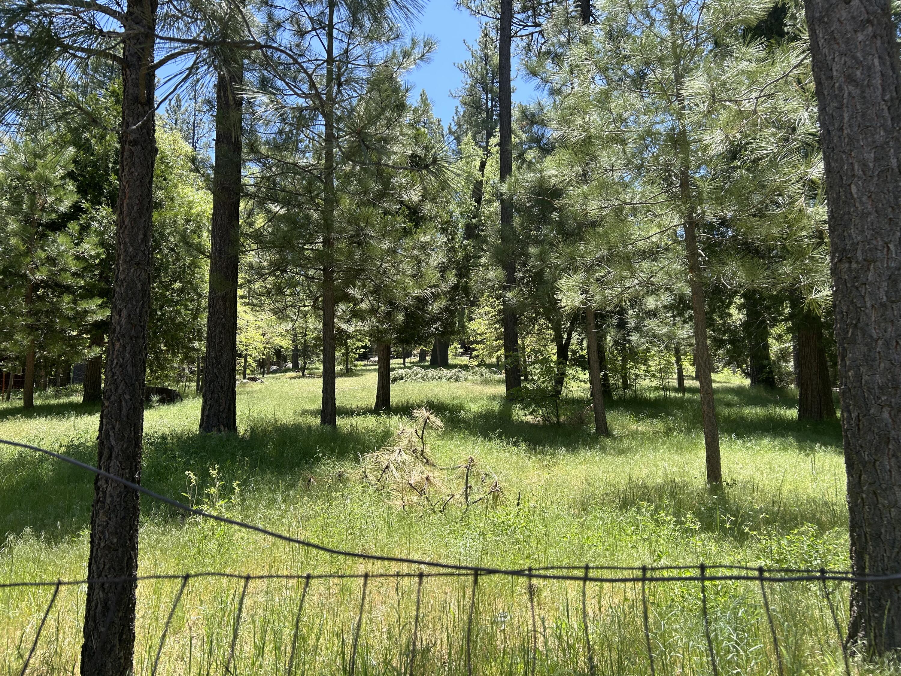0 Tollgate Road Idyllwild, CA 92549 - Photo 4 of 14 a view of swimming pool from a garden
