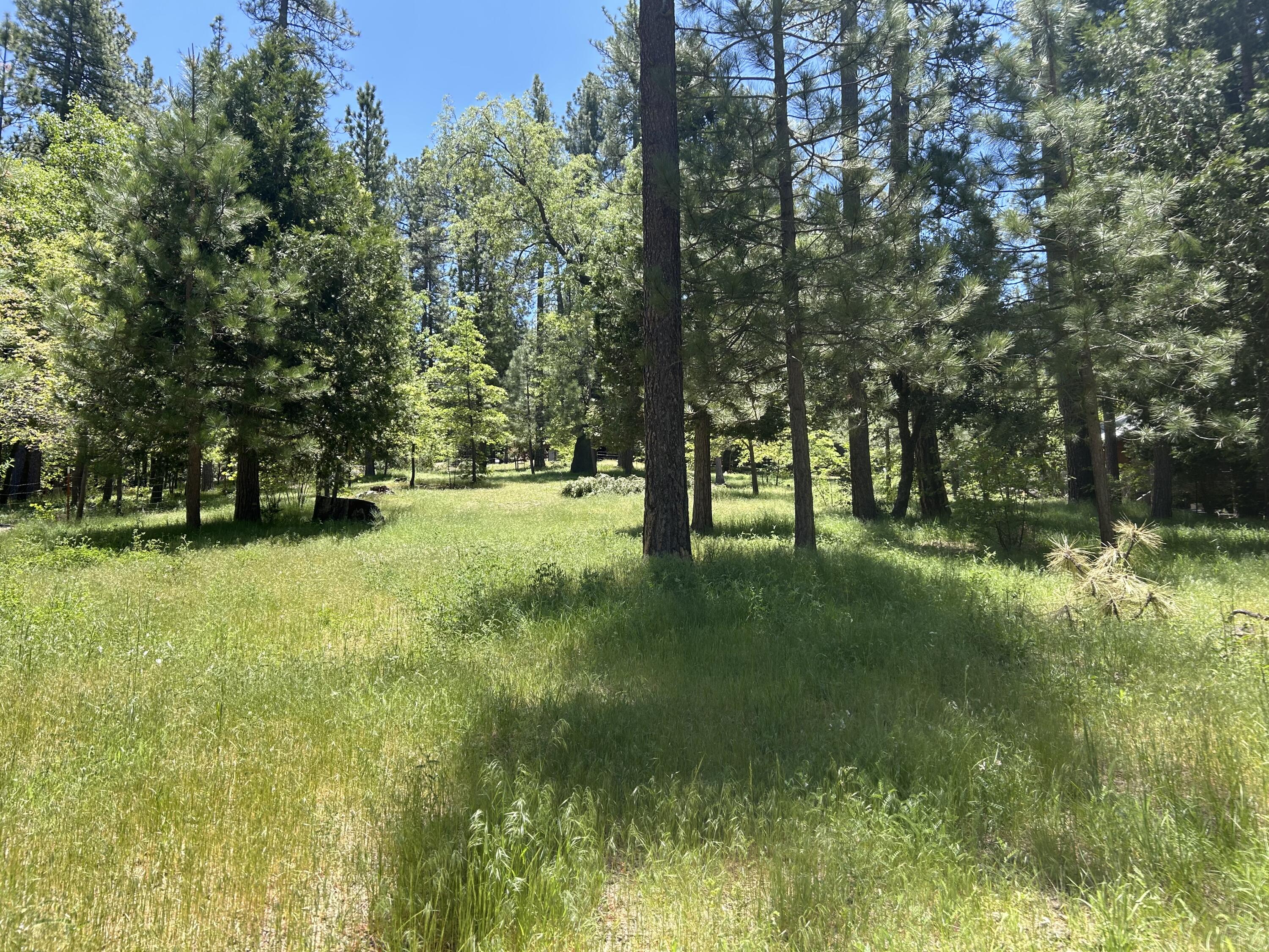 0 Tollgate Road Idyllwild, CA 92549 - Photo 5 of 14 a view of outdoor space with trees all around