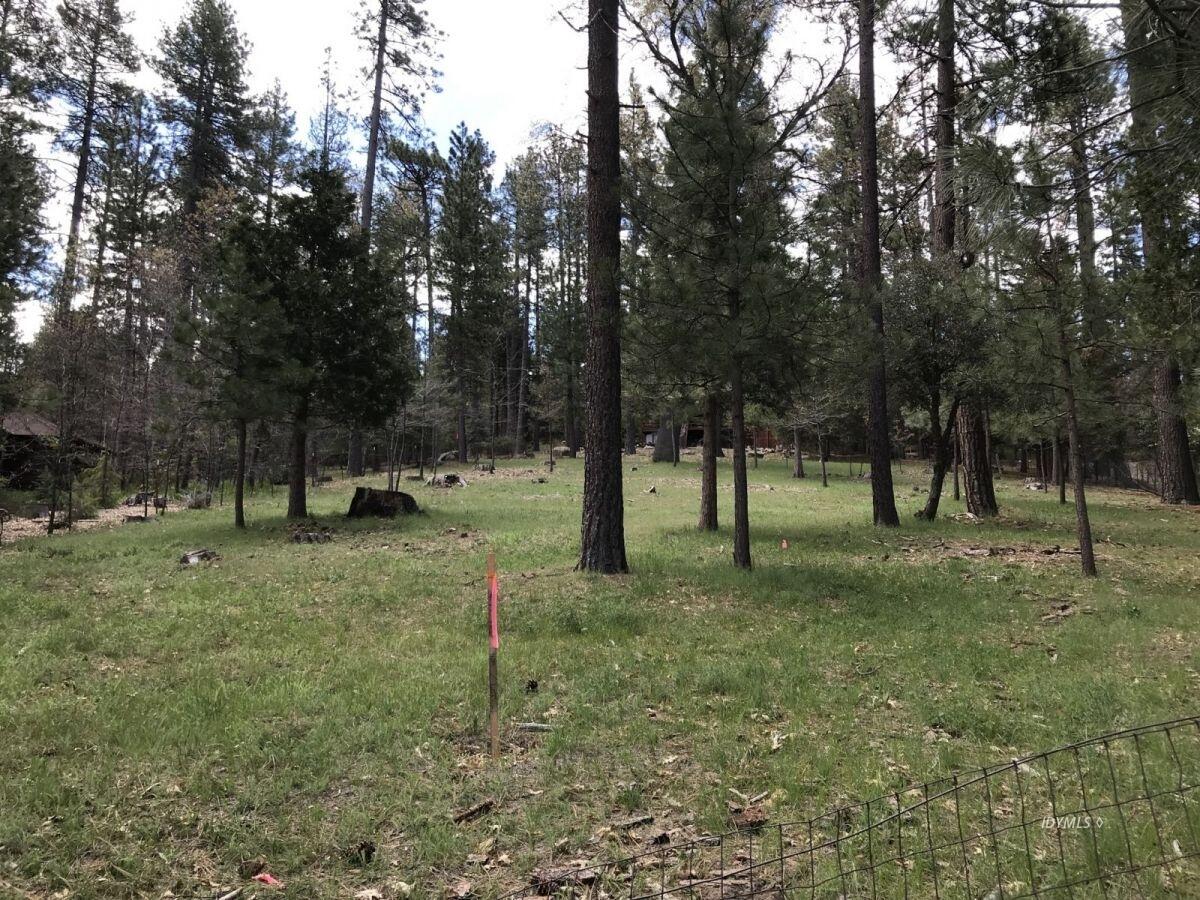 0 Tollgate Road Idyllwild, CA 92549 - Photo 7 of 14 a view of outdoor space with trees