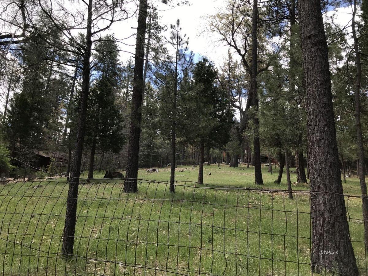 0 Tollgate Road Idyllwild, CA 92549 - Photo 8 of 14