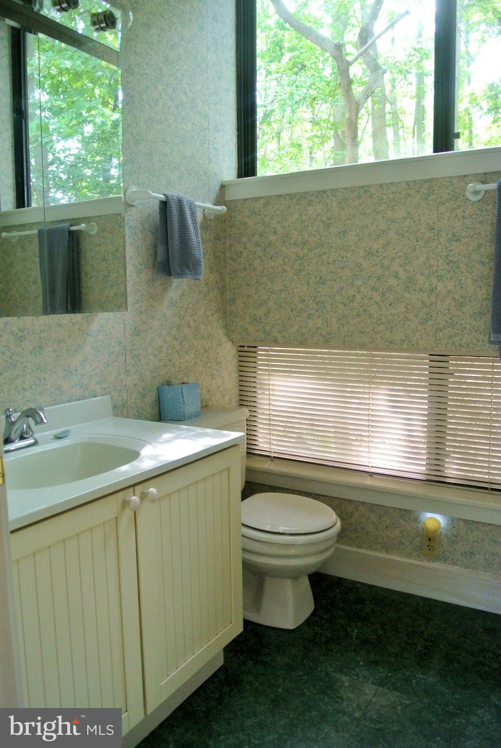 10751 Kasota Road Chestertown, MD 21620 - Photo 8 of 15 Upper Level Bath