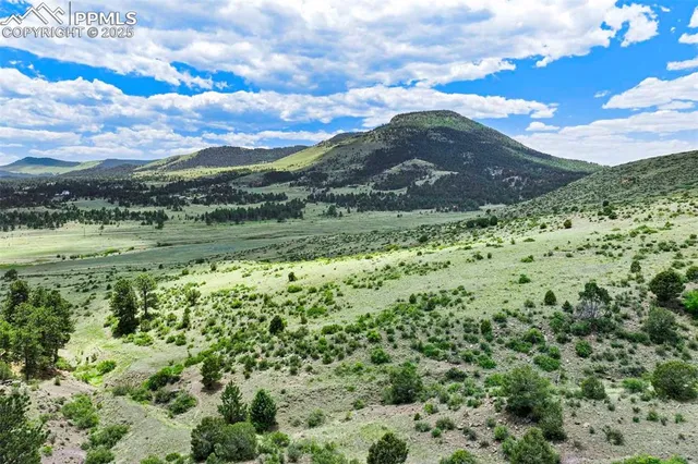 a view of a big yard with lots of green space