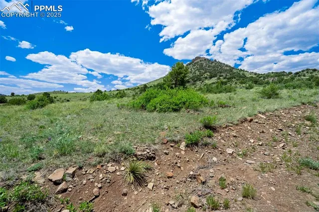 a view of a pathway with a yard