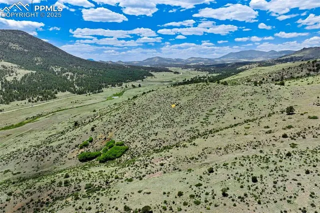 a view of a large yard with lots of green space
