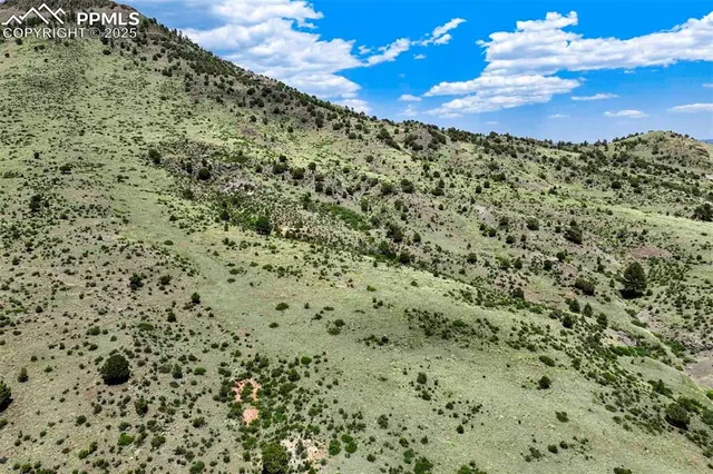 a view of a yard with an outdoor space