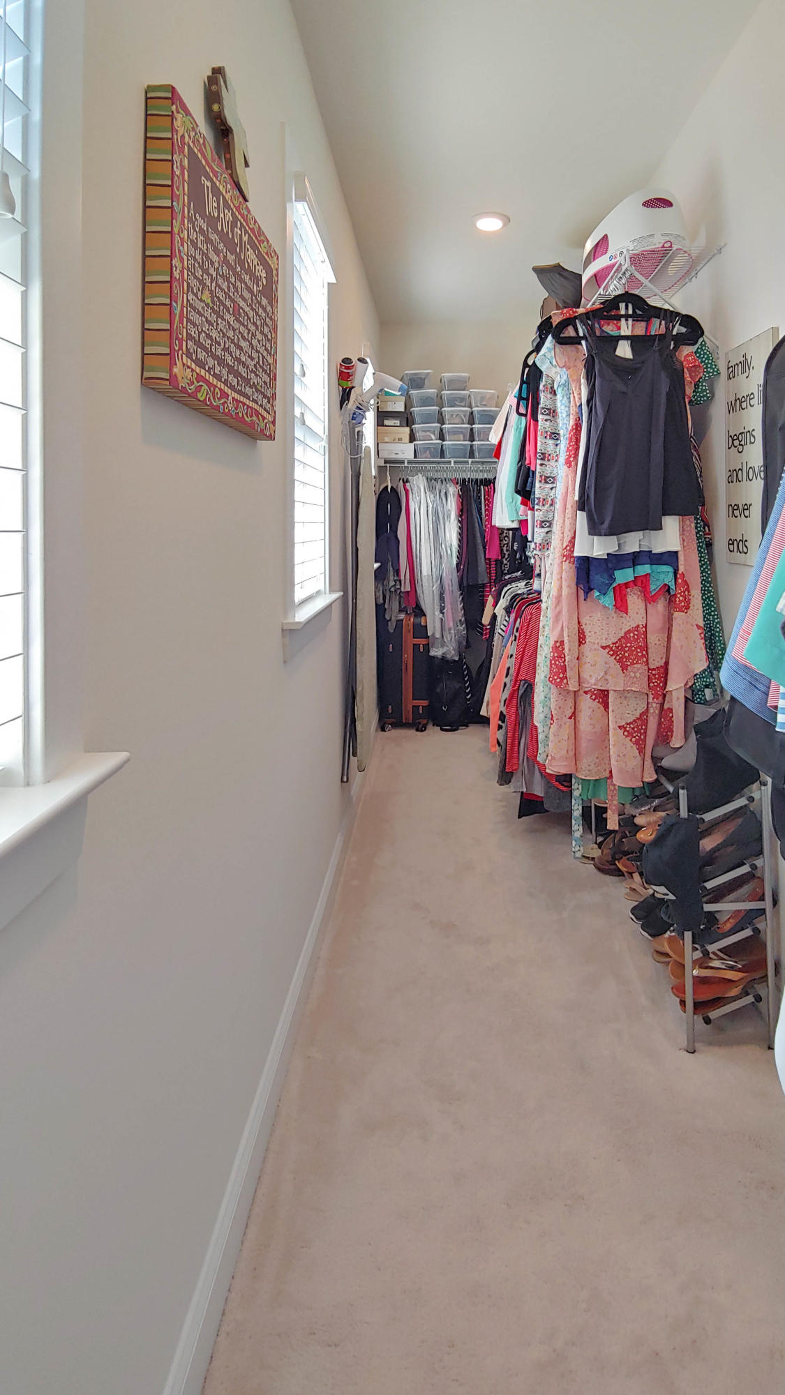 2227 Spring Hope Drive Mount Pleasant, SC 29466 - Photo 50 of 56 Owners Closet