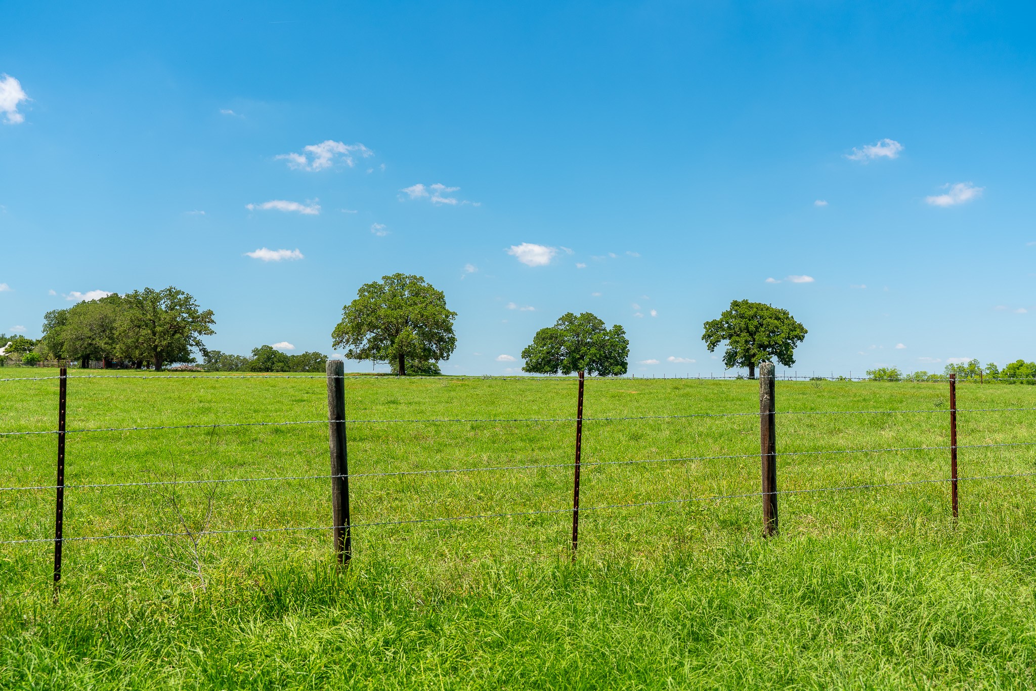 400 619th Spur Elgin, TX 78621 - Photo 4 of 40 Acres of verdant pastureland offer a canvas for your rural aspirations.