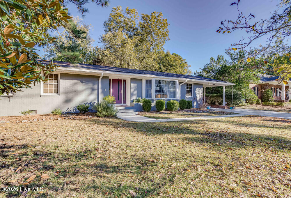 image-IMG_2960HDR1762188071