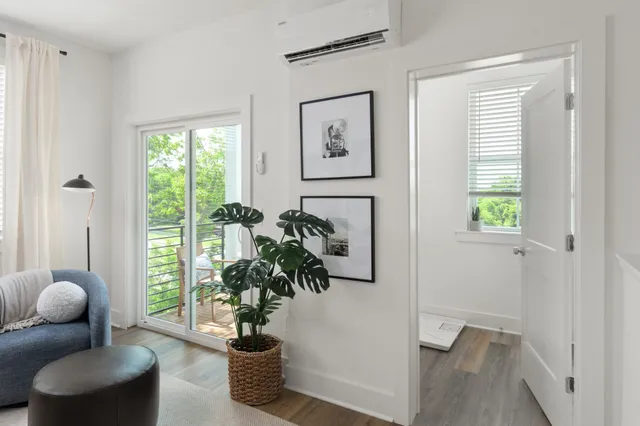 a living room with furniture and a potted plant