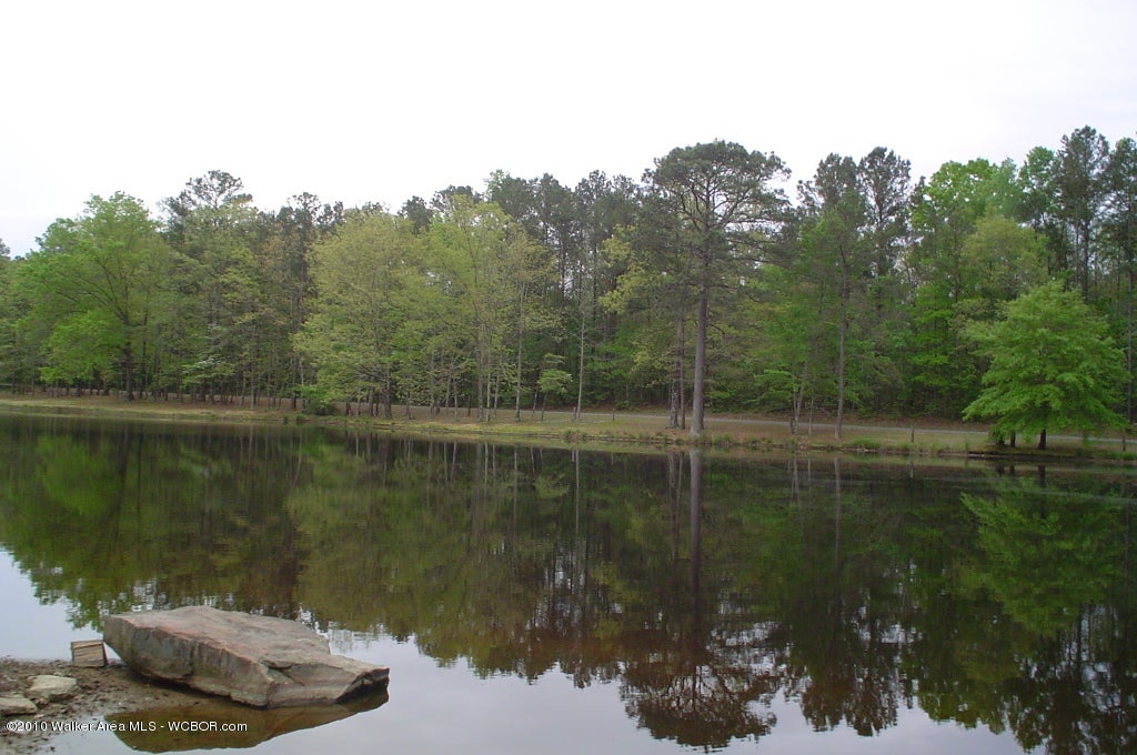 334 Snow Lake Road Jasper, AL 35503 - Photo 3 of 18 Gallery Image 3