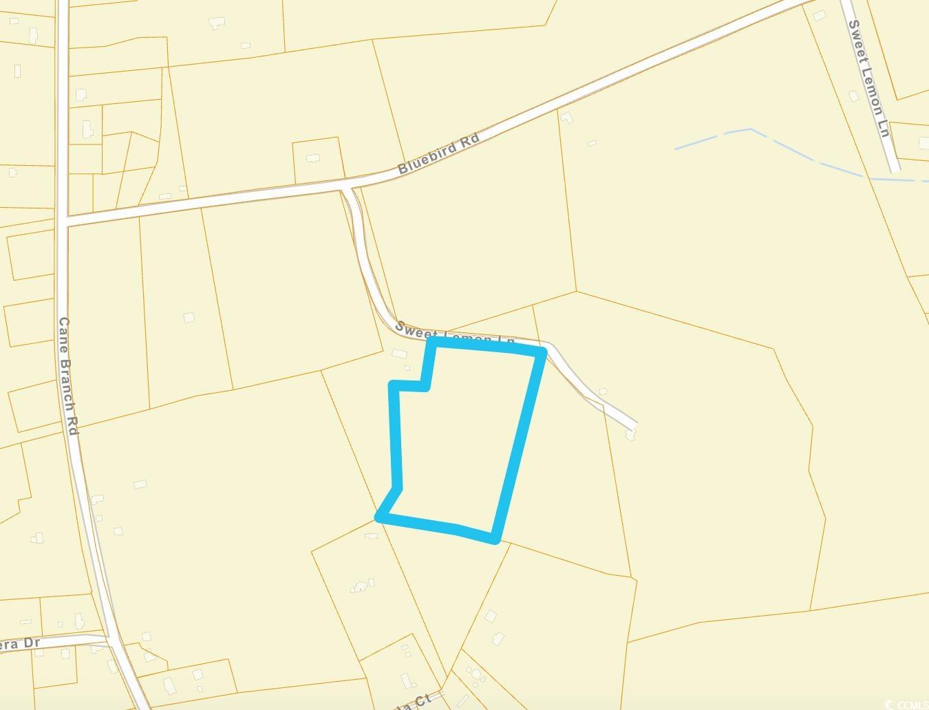 Tbd Blue Bird Road Loris, SC 29569 - Photo 11 of 11 Gallery Image 11
