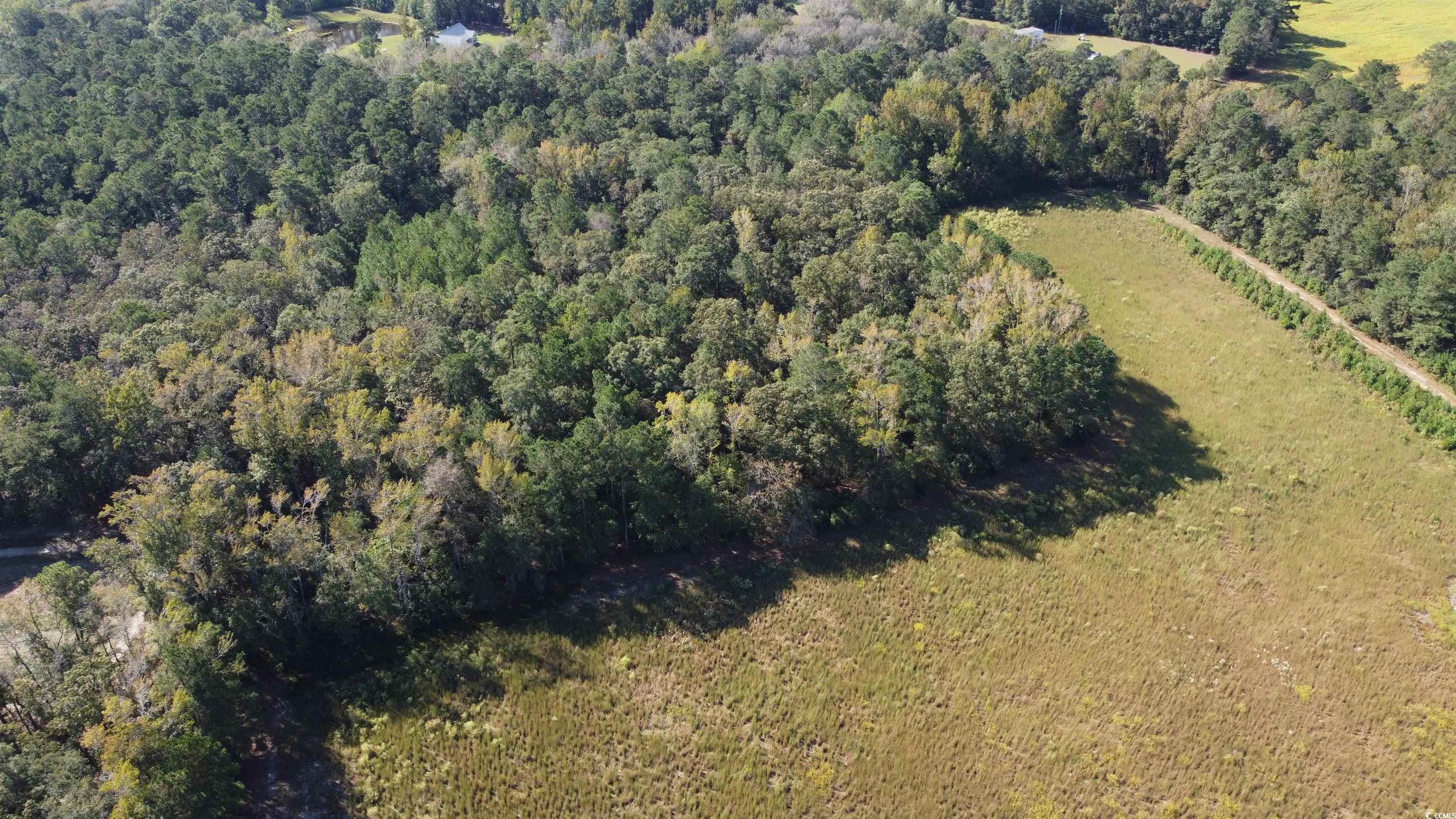 Tbd Blue Bird Road Loris, SC 29569 - Photo 2 of 11 Gallery Image 2