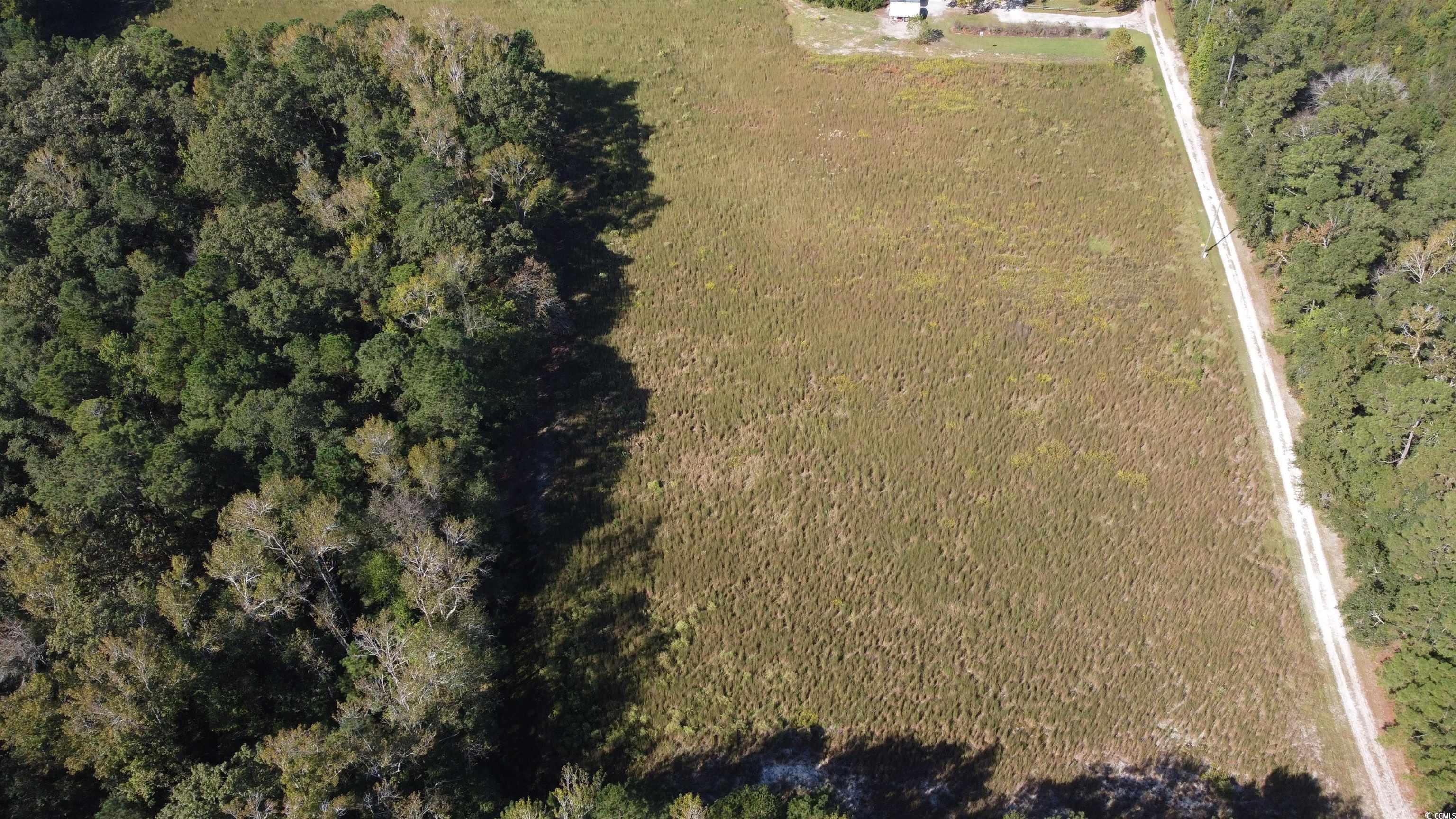 Tbd Blue Bird Road Loris, SC 29569 - Photo 3 of 11 Gallery Image 3